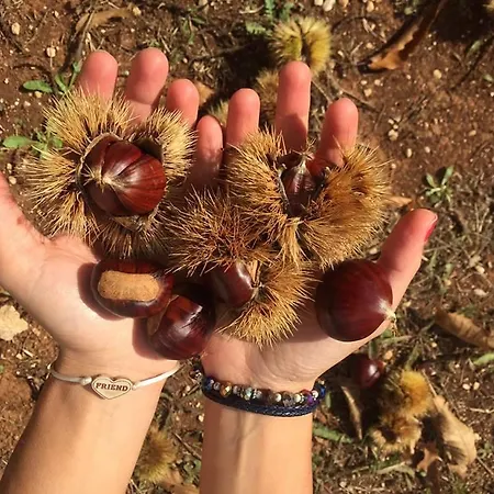 Apartmanhotel Rosato Selva di Fasano