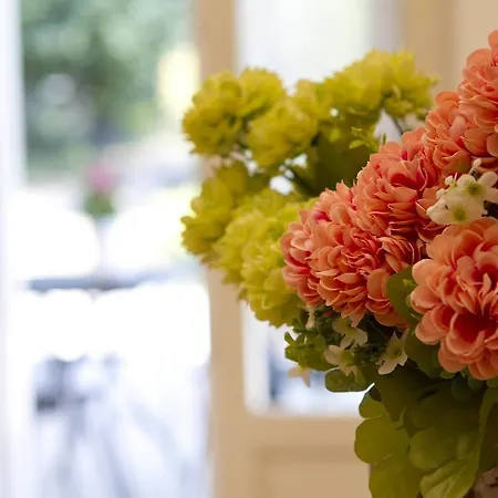 Rosato 4* Selva di Fasano