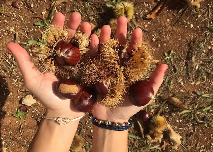 Aparthotel Rosato Selva Di Fasano